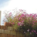 호국돈대길 이미지