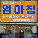 엄마꼼장어
