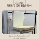 🍒 체리나무 유아 키높이방석 사용 후기 우리 집 육아 필수템 추가!