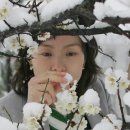 오늘의 포토뉴스(3/20) 이미지