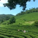 이룬의원 이미지