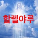 빵 아저씨 빵 아줌마 | 일본아저씨들보고침흘리는나.친일파인가요?