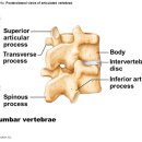 엠에스피지컬 이미지