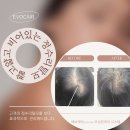 리카앤드 속눈썹 파주운정점 네이버블로그