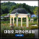 대청호반 | [대전 여행] &lt;대청호반 자연수변공원&gt; 짧은 탐방 후기 (EOS R8 + RF24-105mm F4 L IS USM과 함께)