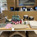 Zara 홈에서 애견용품도 파네요 이미지