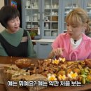 제주하다 이미지