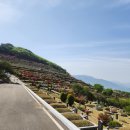 삼덕공원 앞 이미지