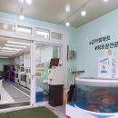 금창회마트 네이버블로그