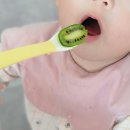 가을환경 | 토종다래 친환경 유기농 가을 제철과일 후기