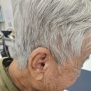 파라다이스경로당 이미지