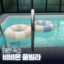 태안 독채 풀빌라 펜션 추천 : 비바온 풀빌라, VIVA2 객실 후기