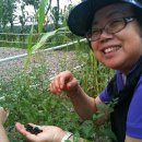 여주참숯 이미지