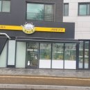 파주고양이미용 반하나캣 이미지