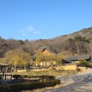 0313 순천 조계산, 송광사에서 보리밥집 다녀 옴 이미지