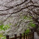 북한강로 이미지