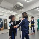 용인대 명성 합기도 이미지