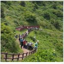 간세다리 이미지