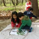 연꽃유치원 이미지