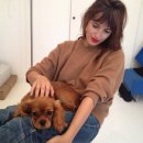 토리버거 이미지