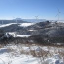 제206회 반월의향기산악회 1월 신년산행 강원 평창 선자령 눈꽃산행 이미지