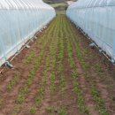 푸르뫼농장 이미지