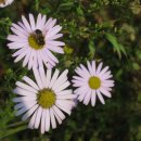 바위농장 이미지