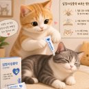하나로365약국 네이버블로그