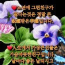 백년친구 Daum카페