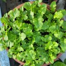 이 좋은 계절에...... 이미지