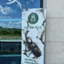 곤충연구소 실내 이미지
