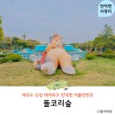 아이로제주 | 5월 제주도 가족여행 제주 안덕면 가볼만한곳 돌코리숲 테마파크