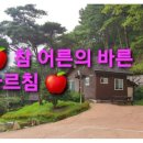 🍎 참 어른의 바른 가르침 🍎 이미지