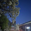 에덴공원 공중화장실 이미지