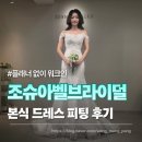 우아하게 돈쓰는날 | 조슈아벨브라이덜 본식드레스 워크인 피팅 후기｜예비신부 OOTD 드레스투어