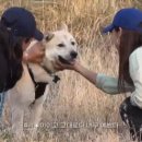 백여농장 이미지