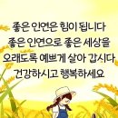 8월3일 가평어비산 예약자명단 입니다 이미지