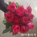 화영농장 | 하나농장)꽃 선택 QnA!