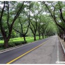 마이산 꽃 펜션 이미지