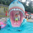 한화리조트거제벨버디어 수영장 이미지