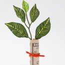 리치상사 이미지