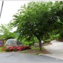 광양읍사무소 버스정류장 이미지