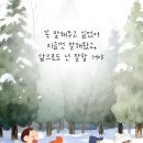 어정로4 | [용인맛집] 어수산 - 방어후기 !!! (활주로수산, 이마트회 방어 비교)