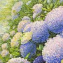 숲속의 향기 이미지