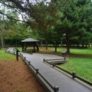 나주홍어 이미지