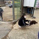 BK승마랜드 네이버블로그