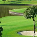 홀리데이 인 리조트 이미지