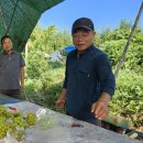 월야농장 이미지