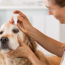 박순석동물메디컬센터 이미지