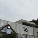 사람의커피 | 강릉 카페 비교 ☕️ “갤러리밥스 vs 툇마루” 커피 입맛 까다로운 사람의 솔직 후기